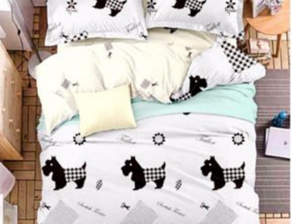 BEDSHEET
