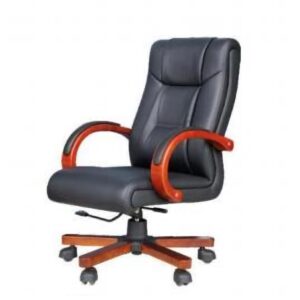 DIRECTOR CHAIR