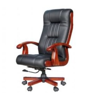 DIRECTOR CHAIR