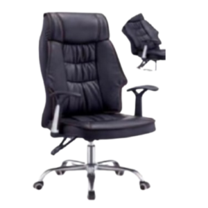 DIRECTOR CHAIR