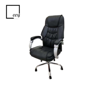 DIRECTOR CHAIR