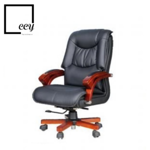 DIRECTOR CHAIR